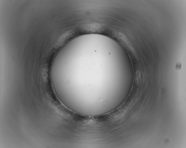 X0000091700259200709141105