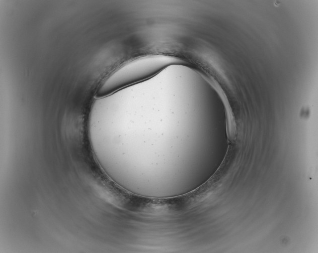 X0000091700260200709141105