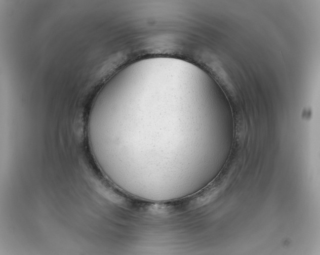 X0000091700261200709141105