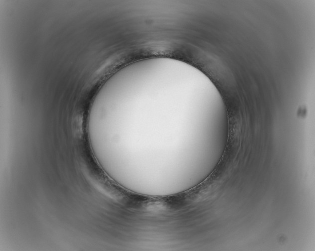 X0000091700262200709141105