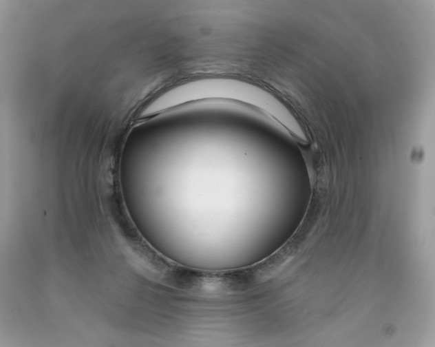 X0000091700264200709141105