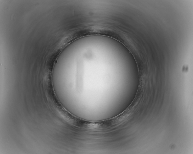 X0000091700265200709141105