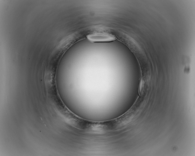 X0000091700268200709141105