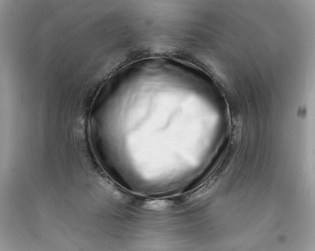 X0000091700269200709141105