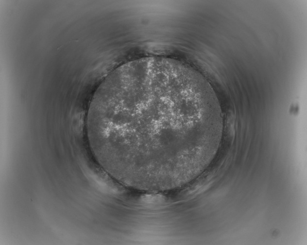 X0000091700271200709141105