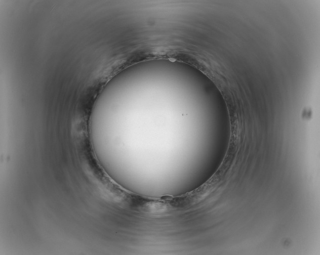 X0000091700272200709141105