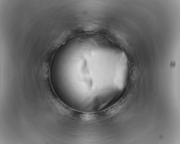 X0000091700273200709141105