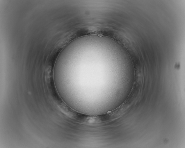 X0000091700275200709141105