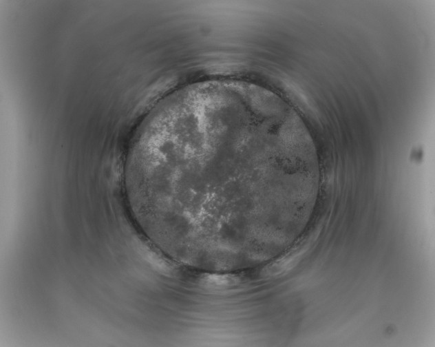 X0000091700277200709141105