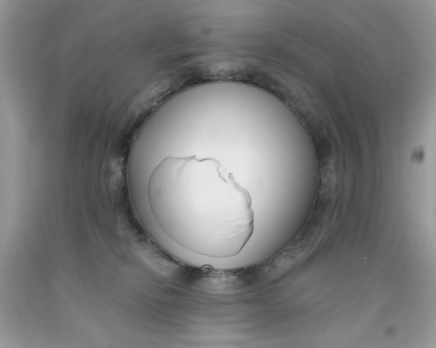 X0000091700278200709141105