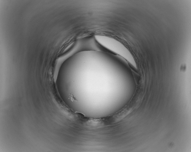 X0000091700280200709141105