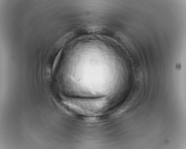 X0000091700281200709141105