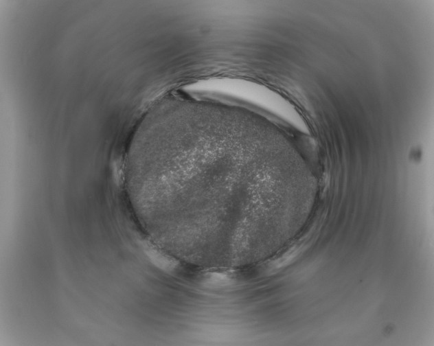 X0000091700285200709141105