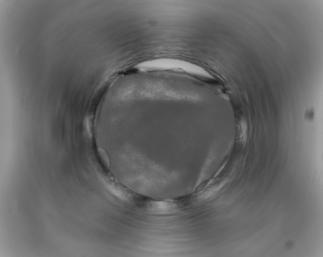 X0000091700286200709141105