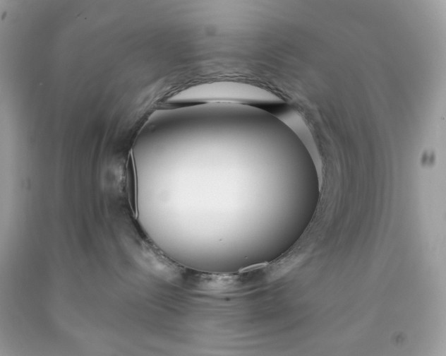 X0000091700288200709141105