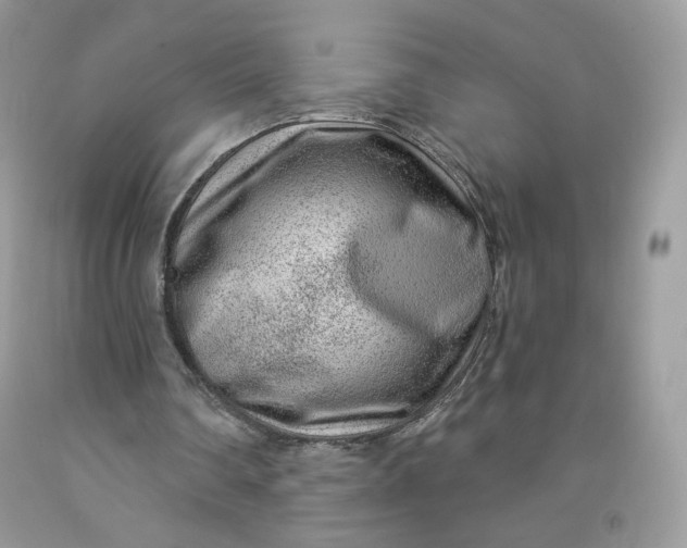 X0000091700290200709141105