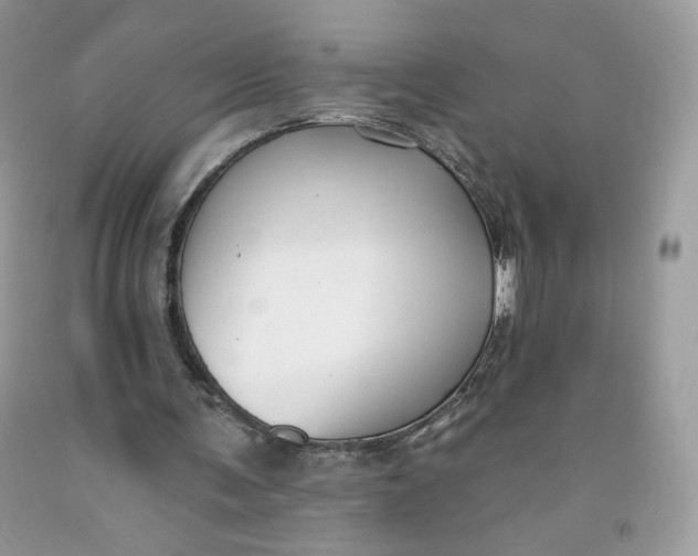 X0000091700291200709141105