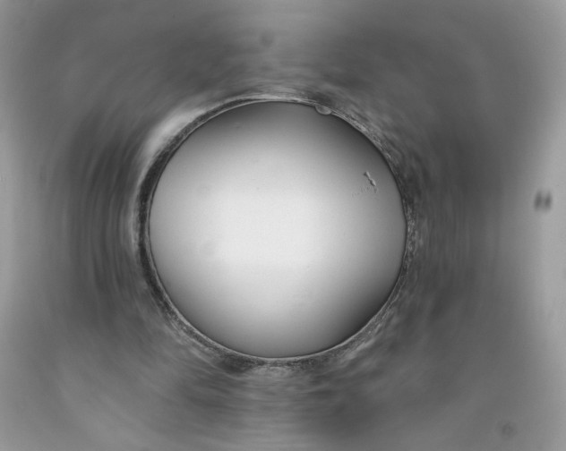 X0000091700294200709141105