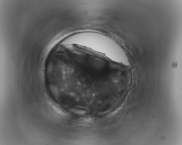 X0000091700295200709141105