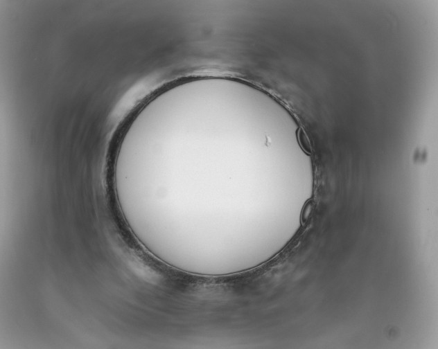 X0000091700296200709141105