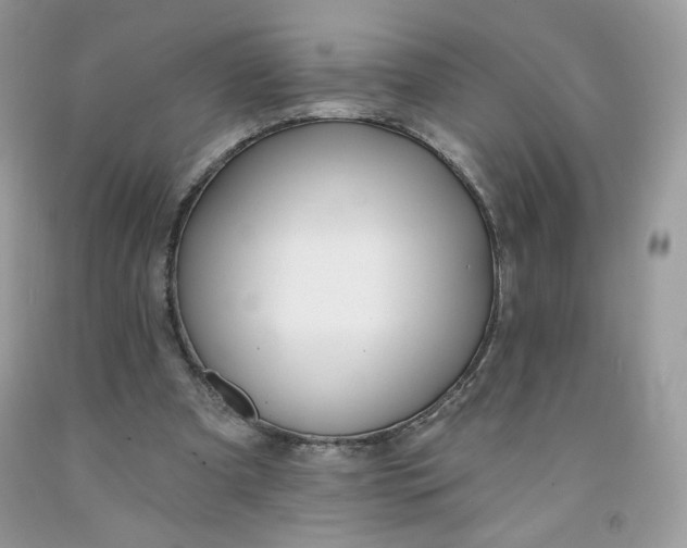 X0000091700297200709141105