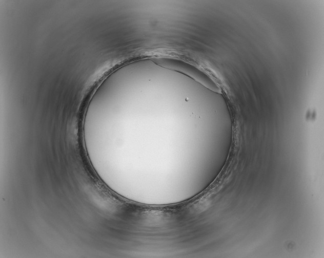 X0000091700298200709141105