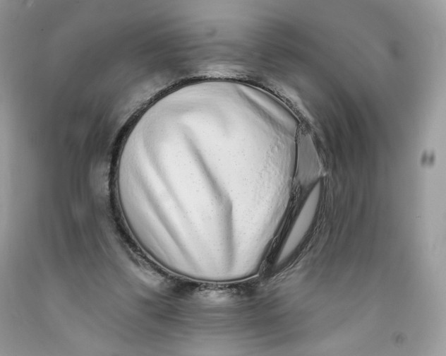 X0000091700299200709141105