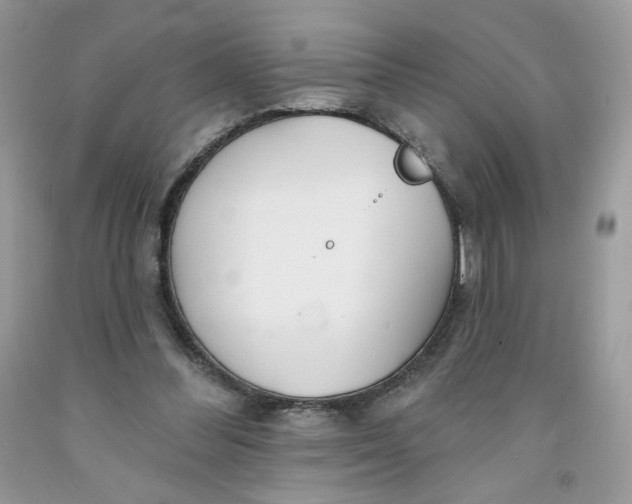 X0000091700300200709141105