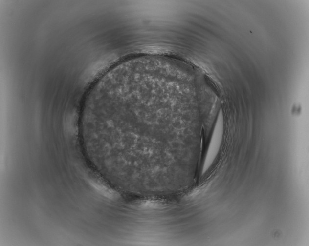 X0000091700303200709141105