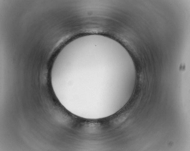 X0000091700304200709141105