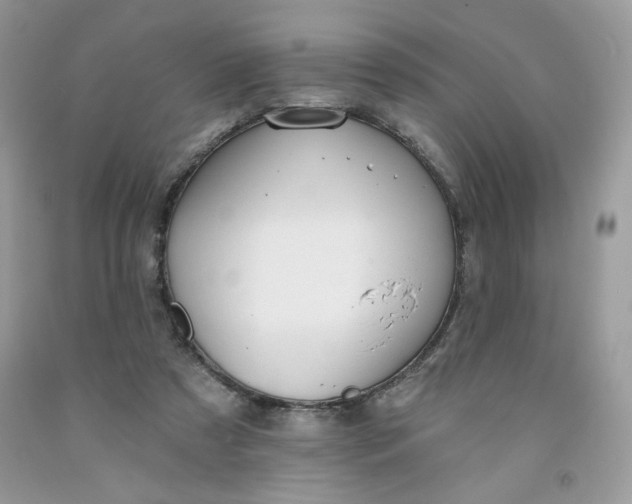 X0000091700305200709141105