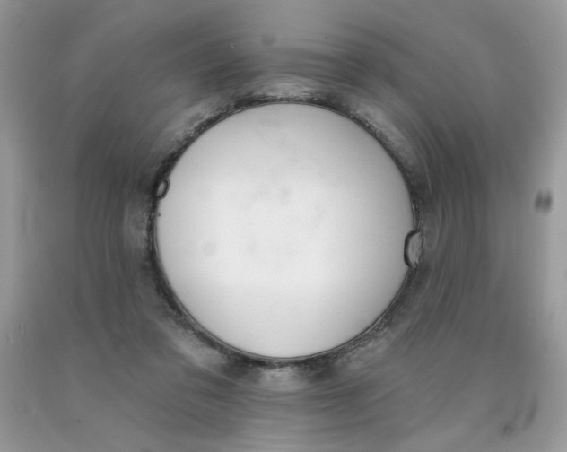 X0000091700309200709141105