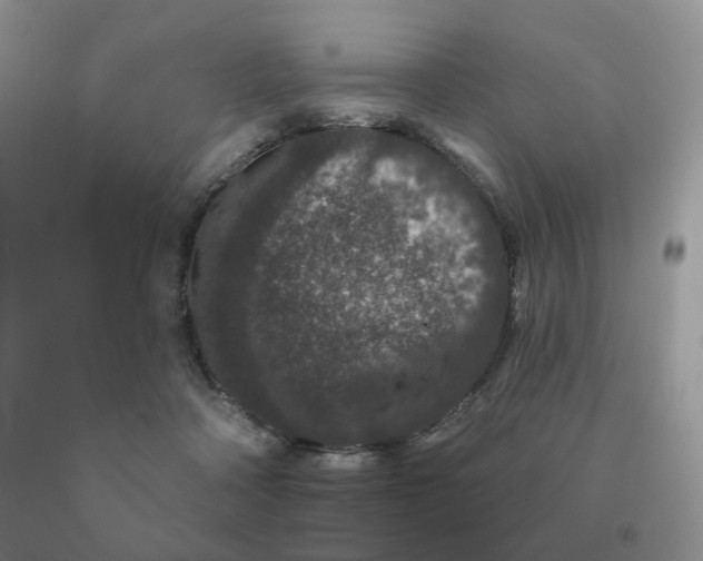 X0000091700314200709141104