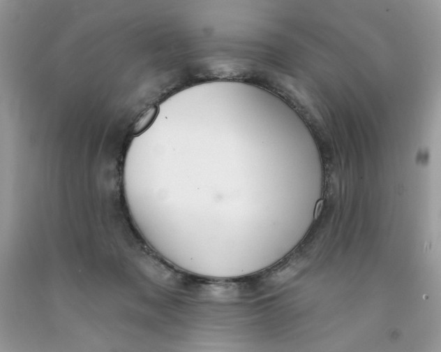 X0000091700317200709141104