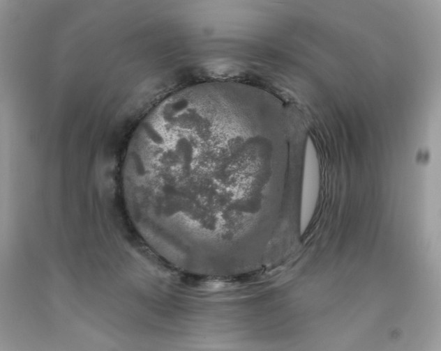 X0000091700319200709141104