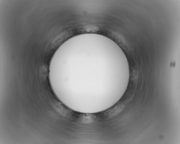 X0000091700321200709141104