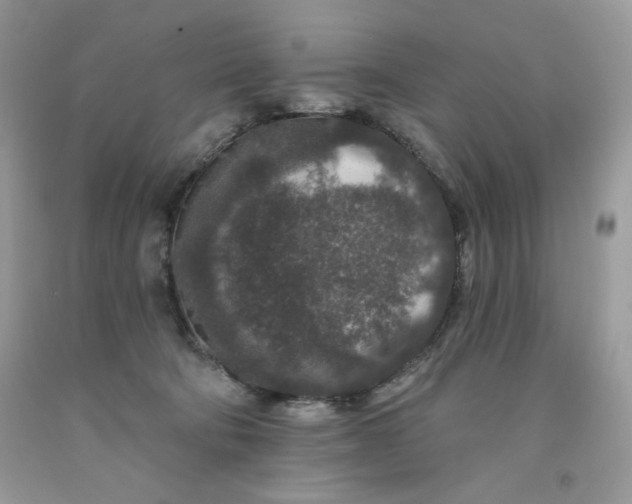 X0000091700322200709141104