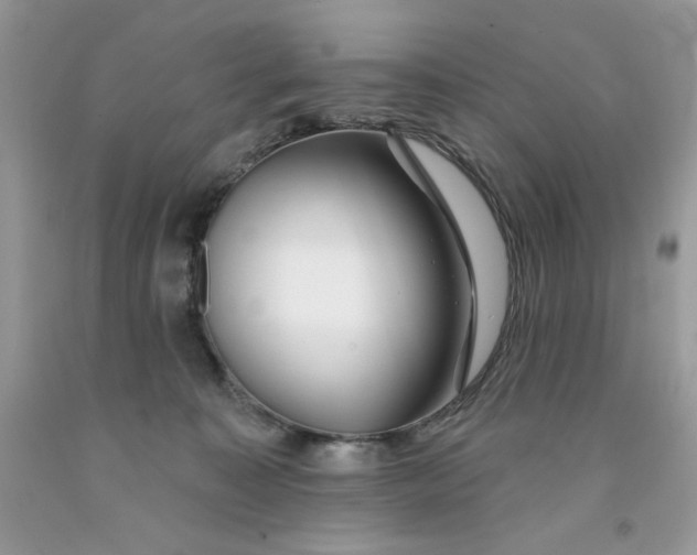 X0000091700323200709141104