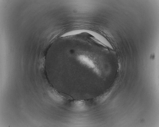 X0000091700325200709141104