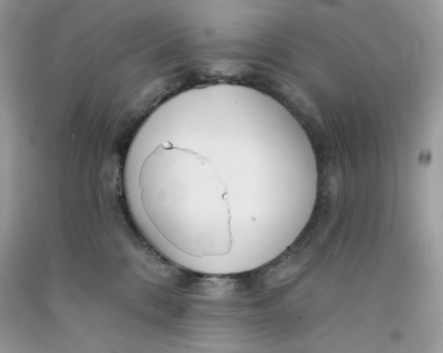 X0000091700328200709141104