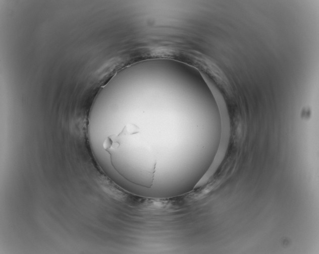 X0000091700329200709141104