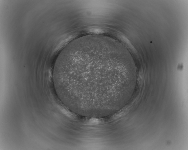 X0000091700330200709141104