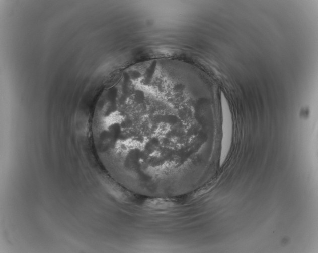 X0000091700331200709141104