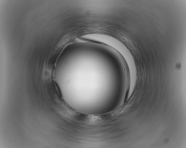 X0000091700333200709141104