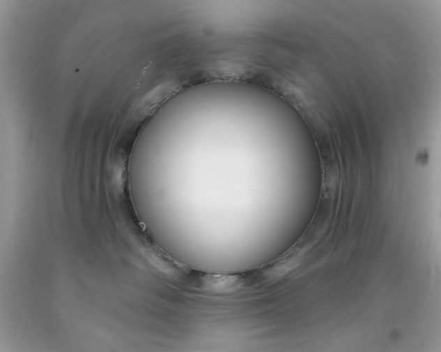 X0000091700334200709141104