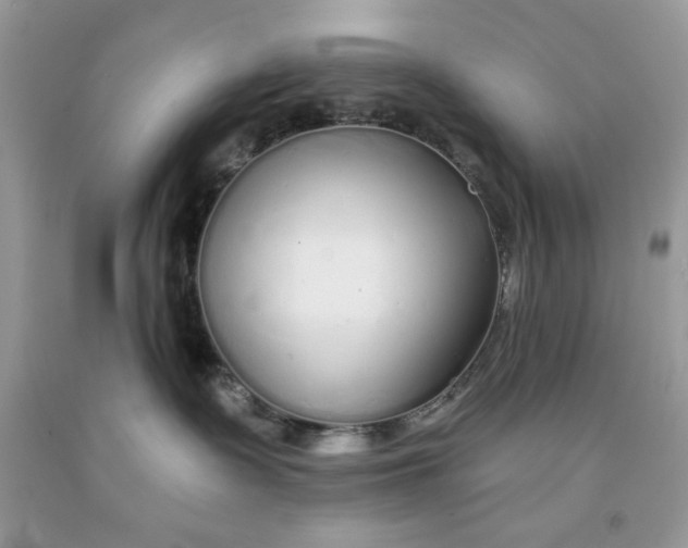 X0000091700335200709141104