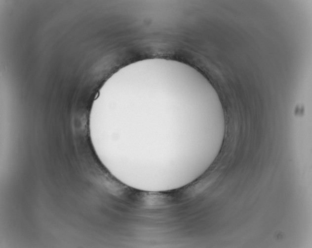 X0000091700336200709141104