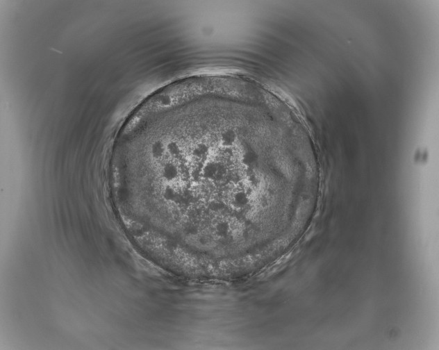 X0000091700337200709141104