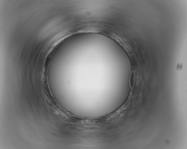 X0000091700338200709141104