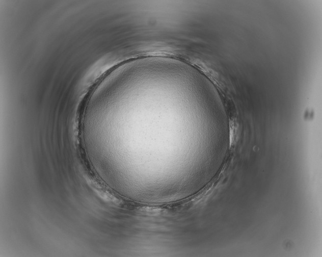 X0000091700339200709141104